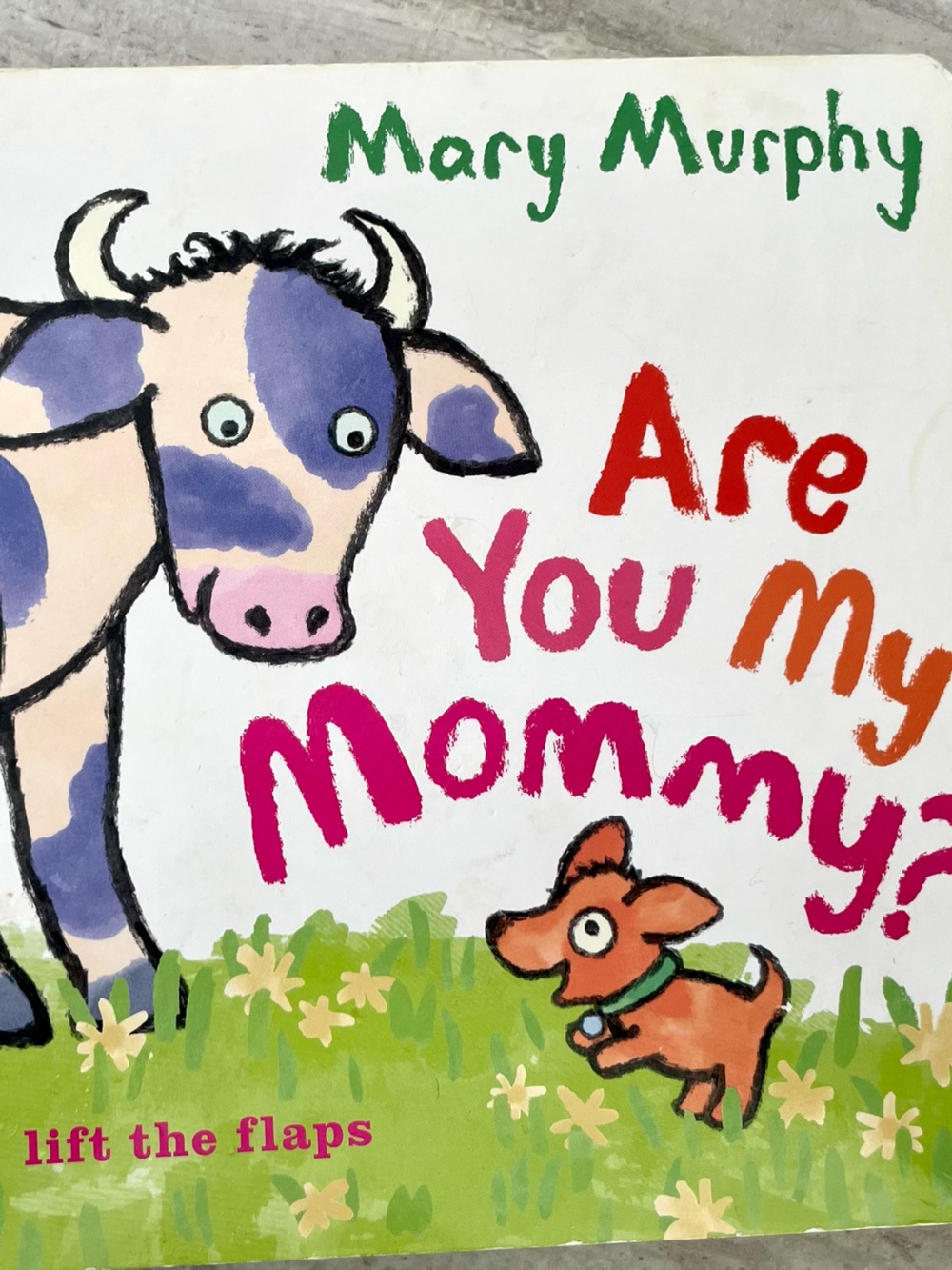 5/$21💥Lift the Flaps, Are You My Mommy? Fun Board Book, Toddler Preschooler